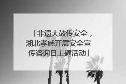 非遗大鼓传安全，湖北孝感开展安全宣传咨询日主题活动